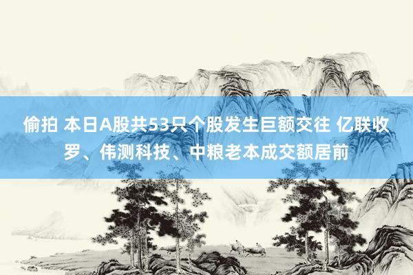 偷拍 本日A股共53只个股发生巨额交往 亿联收罗、伟测科技、中粮老本成交额居前