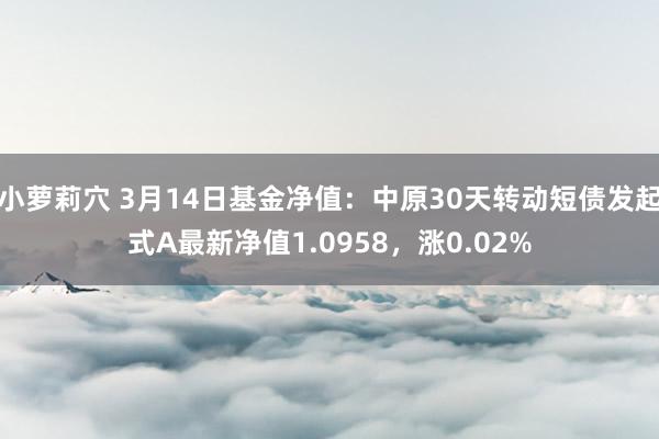 小萝莉穴 3月14日基金净值：中原30天转动短债发起式A最新净值1.0958，涨0.02%