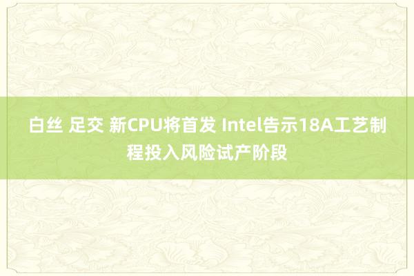 白丝 足交 新CPU将首发 Intel告示18A工艺制程投入风险试产阶段
