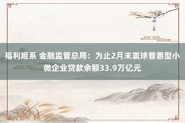 福利姬系 金融监管总局：为止2月末寰球普惠型小微企业贷款余额33.9万亿元